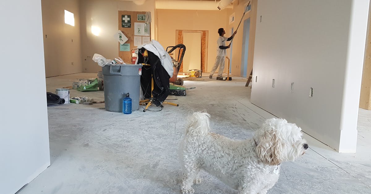 Interior renovation scene with a painter working and a dog in the foreground.